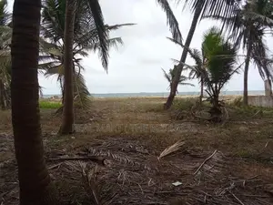 KALPITIYA : 240 perches Land for Sale in kalpiti road , Mampuri Beach