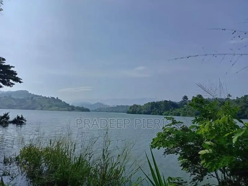 Victoria Reservoir Facing Beautiful Land Rajawalla