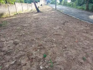 හොරණ, පොකුණු විට
