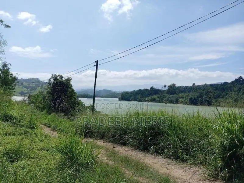 Victoria Reservoir Facing Beautiful Land Rajawalla