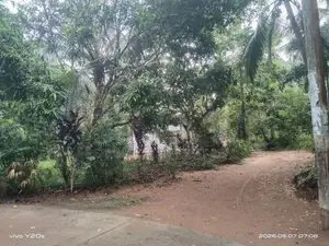 GAMPAHA : 225 Perch Prime Land for Sale in Dewalapola.