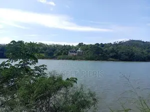 Victoria Reservoir Facing Beautiful Land Rajawalla