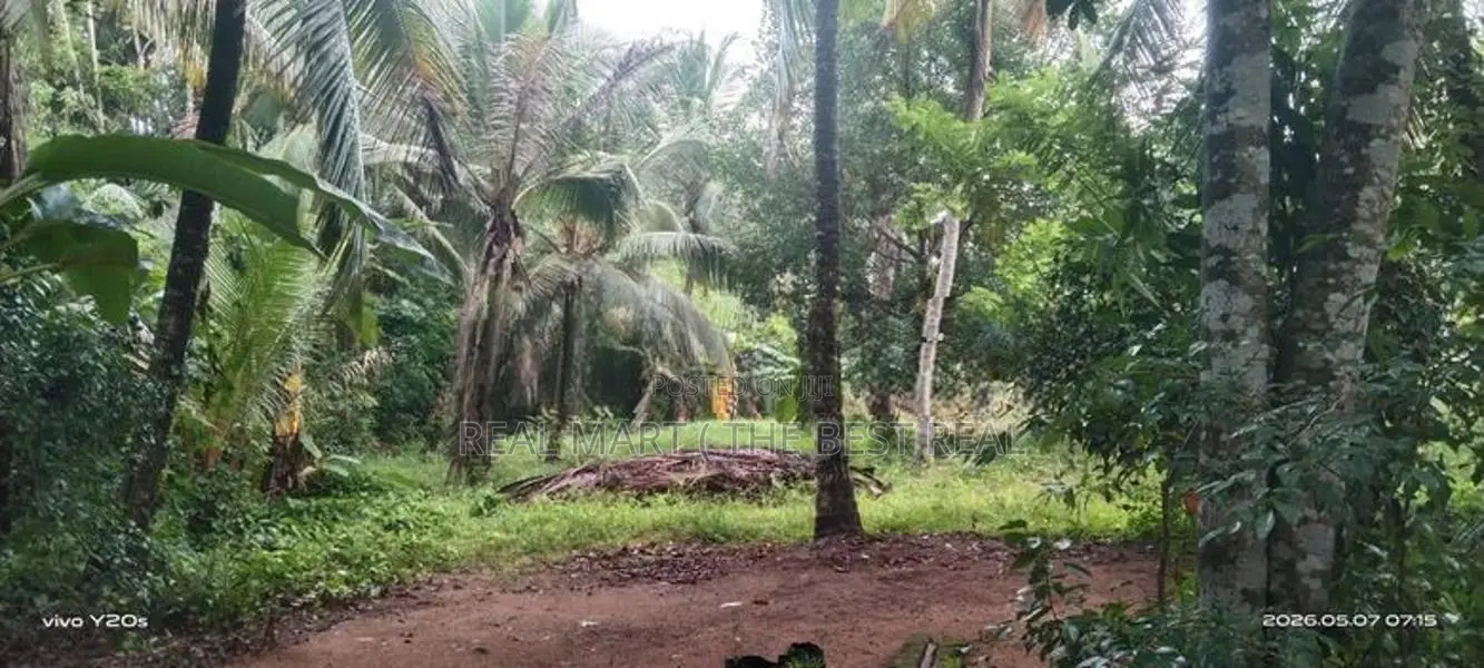 GAMPAHA : 225 Perch Prime Land for Sale in Dewalapola.