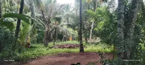 GAMPAHA : 225 Perch Prime Land for Sale in Dewalapola.
