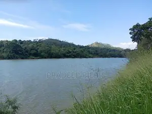 Victoria Reservoir Facing Beautiful Land Rajawalla