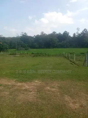 මොරගහහේන