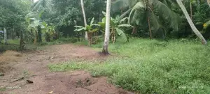 GAMPAHA : 225 Perch Prime Land for Sale in Dewalapola.