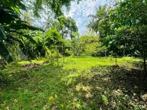(AF831) 20 P Bare Land Sale At Werasekera Road Thalawathugoda