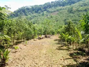 (AF860) 28 Acres Highly Commercial Estate in Eheliyagoda for Sale!
