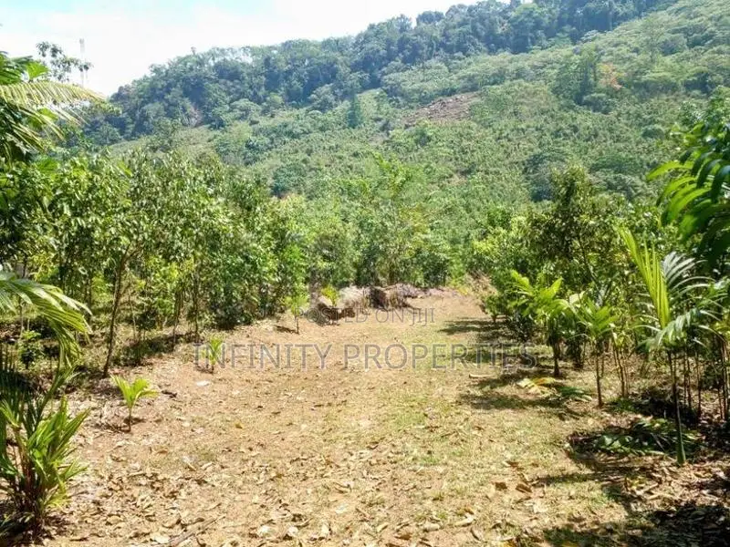 (AF860) 28 Acres Highly Commercial Estate in Eheliyagoda for Sale!