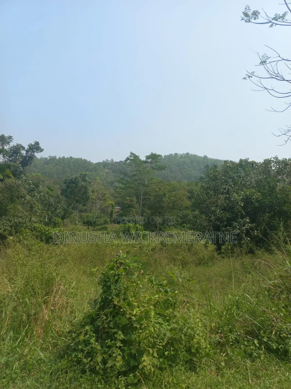 Land for Sale in Horana