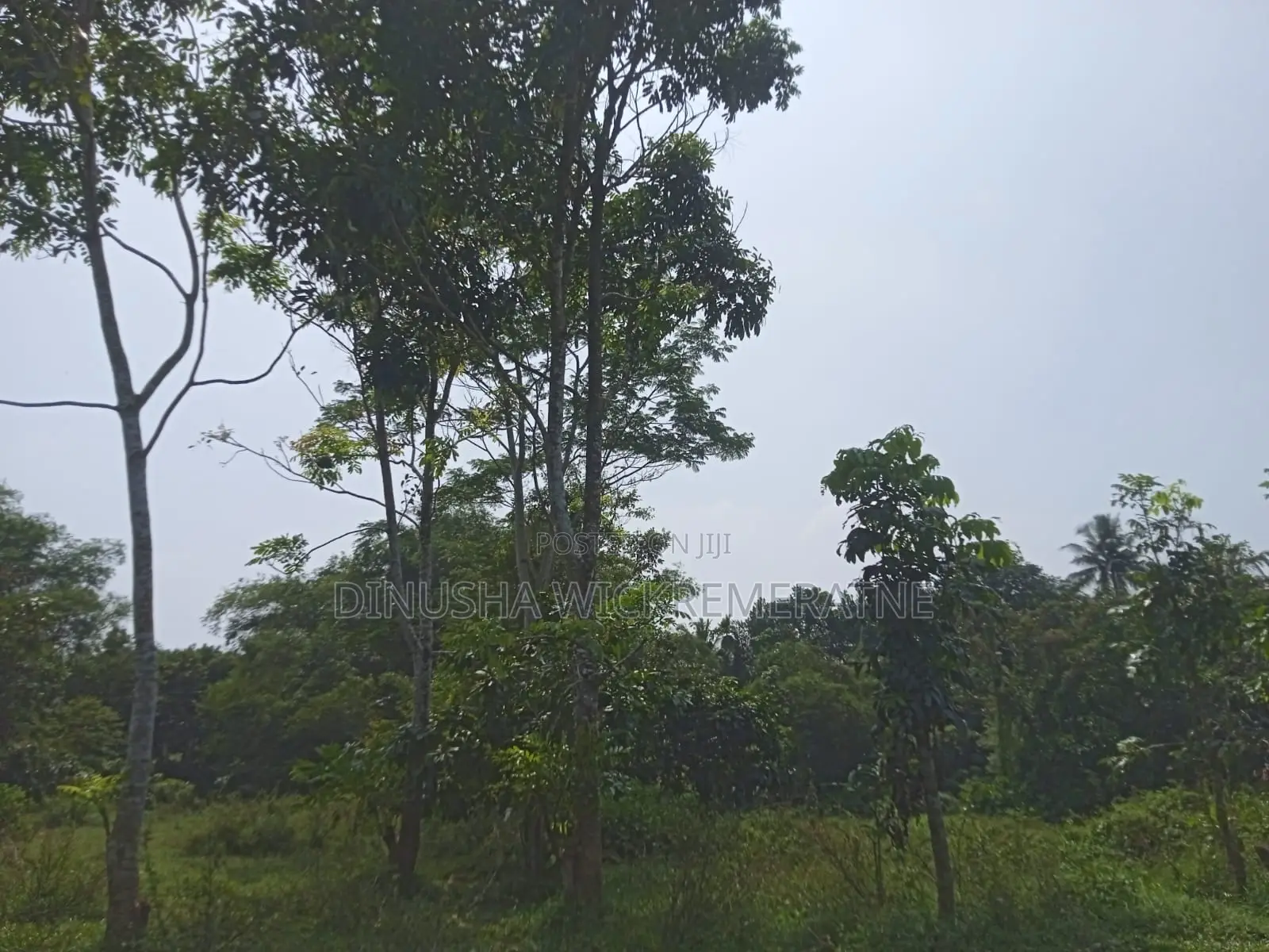 Land for Sale in Horana