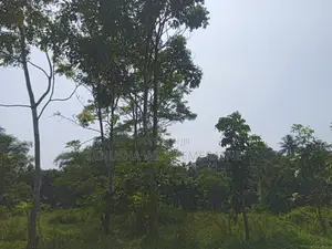 Land for Sale in Horana