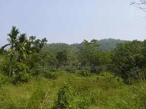 Land for Sale in Horana