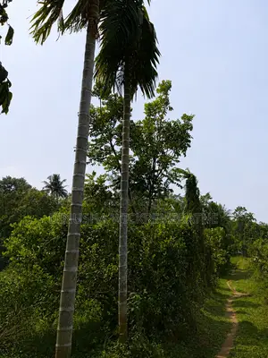 Land for Sale in Horana
