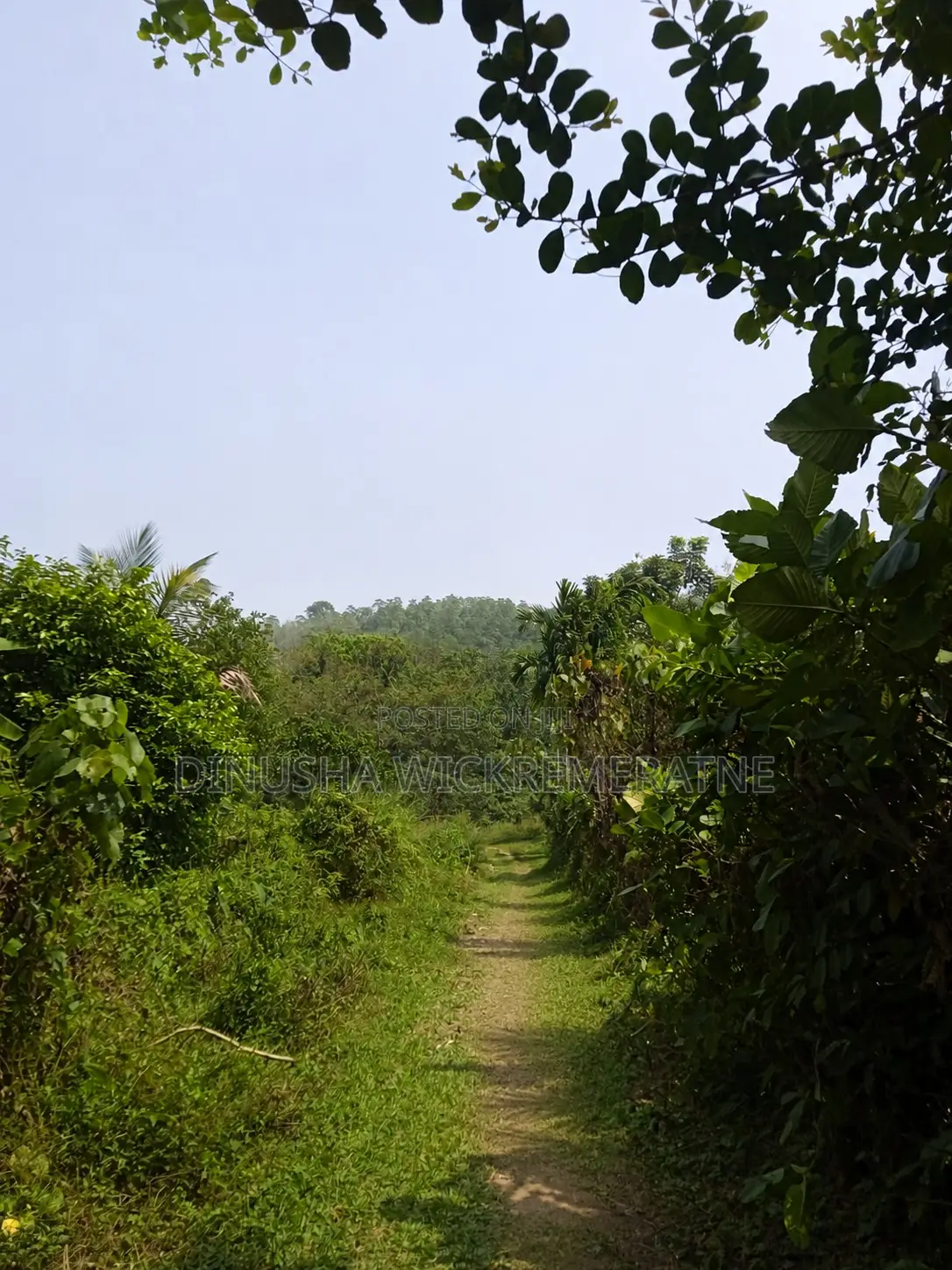 Land for Sale in Horana
