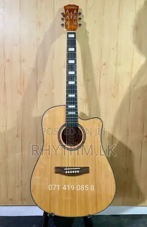 Brand New Calao (Size 41") Acoustic Guitars
