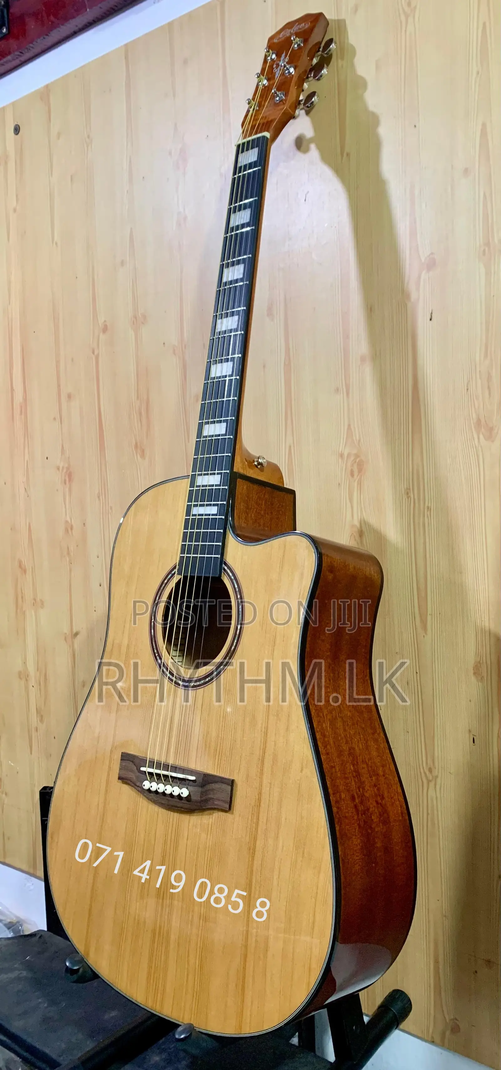 Brand New Calao (Size 41") Acoustic Guitars