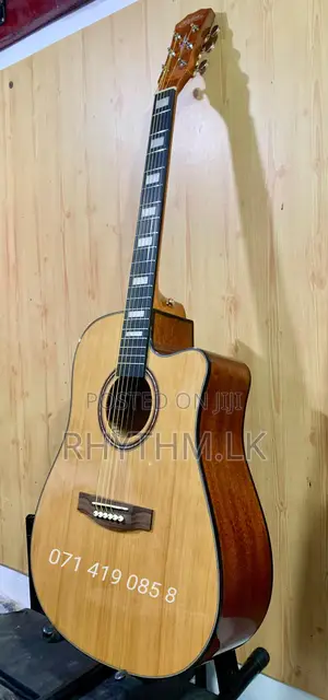 Brand New Calao (Size 41") Acoustic Guitars