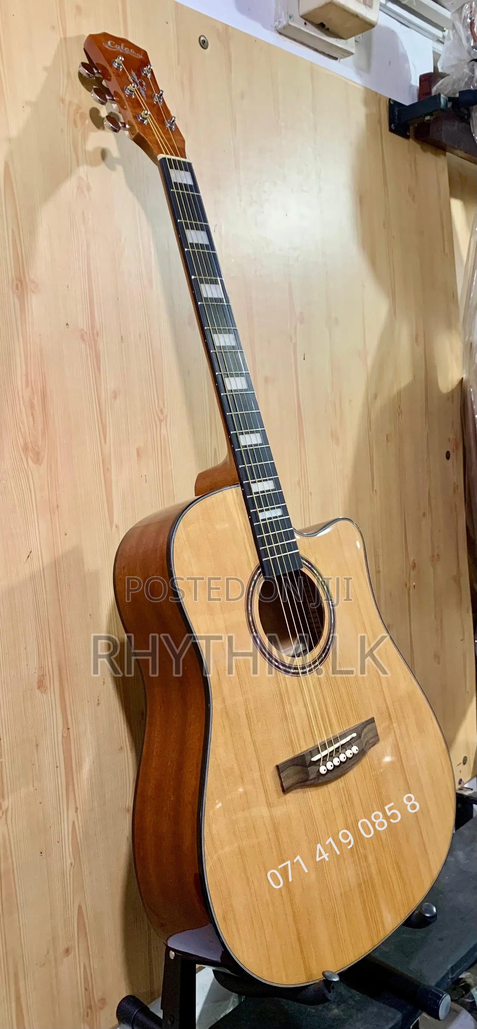 Brand New Calao (Size 41") Acoustic Guitars