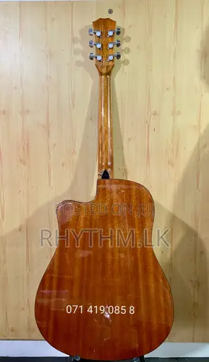 Brand New Calao (Size 41") Acoustic Guitars