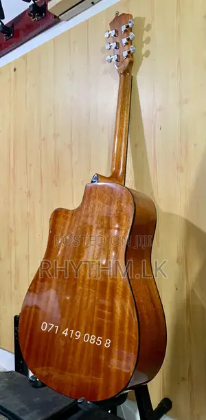 Brand New Calao (Size 41") Acoustic Guitars