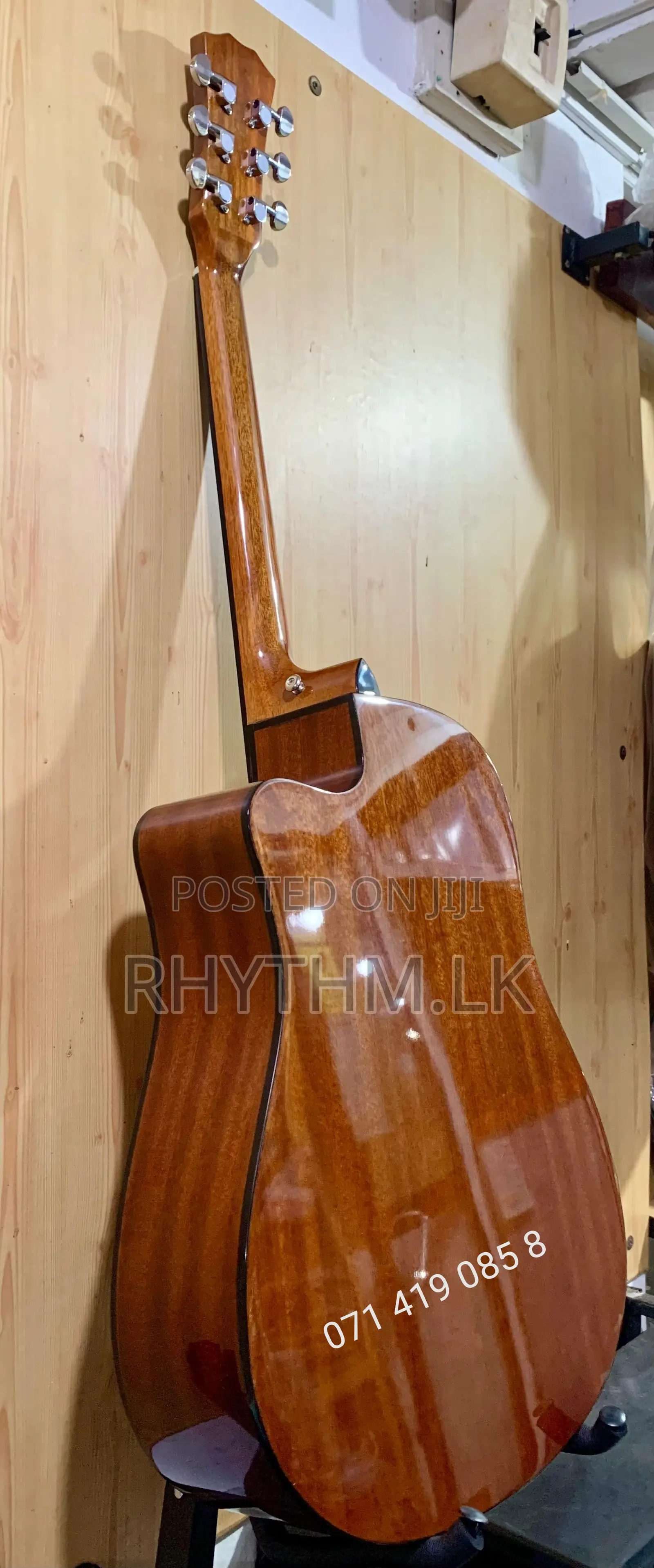 Brand New Calao (Size 41") Acoustic Guitars