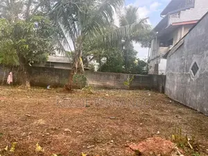 bear land