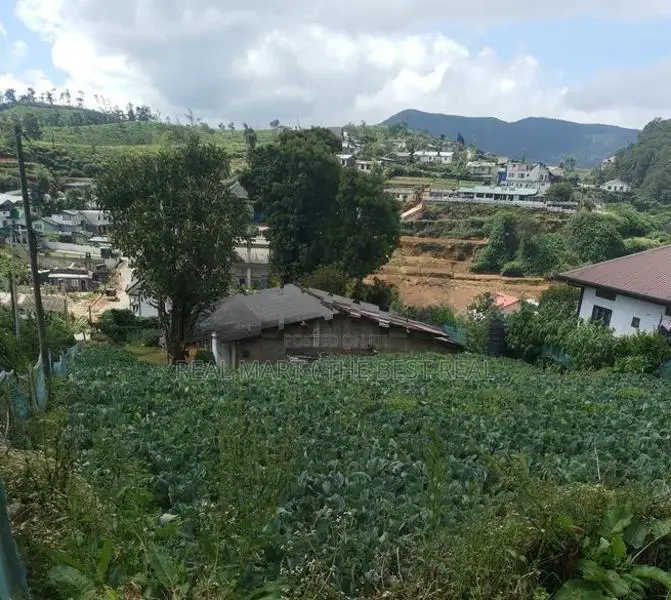 Nuwara Eliya : 20P Prime Land for Sale