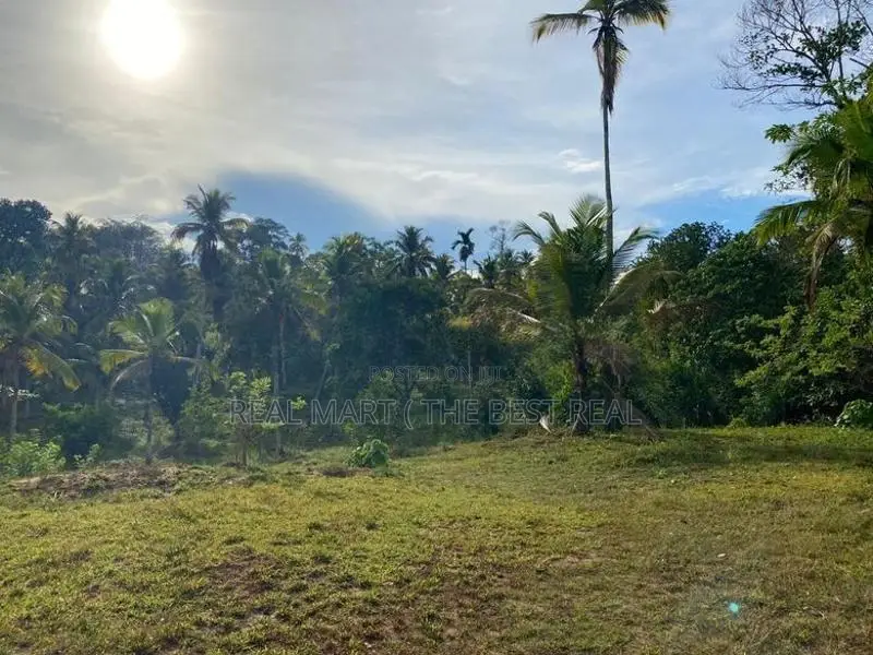 Galle : 2 Acres Prime Land for Sale - Ahangama