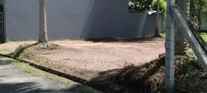 bear land for rent