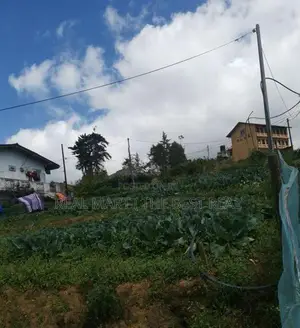 Nuwara Eliya : 20P Prime Land for Sale
