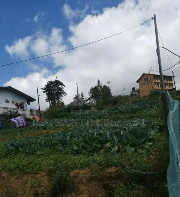 Nuwara Eliya : 20P Prime Land for Sale