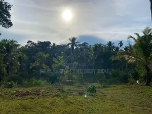 Galle : 2 Acres Prime Land for Sale - Ahangama