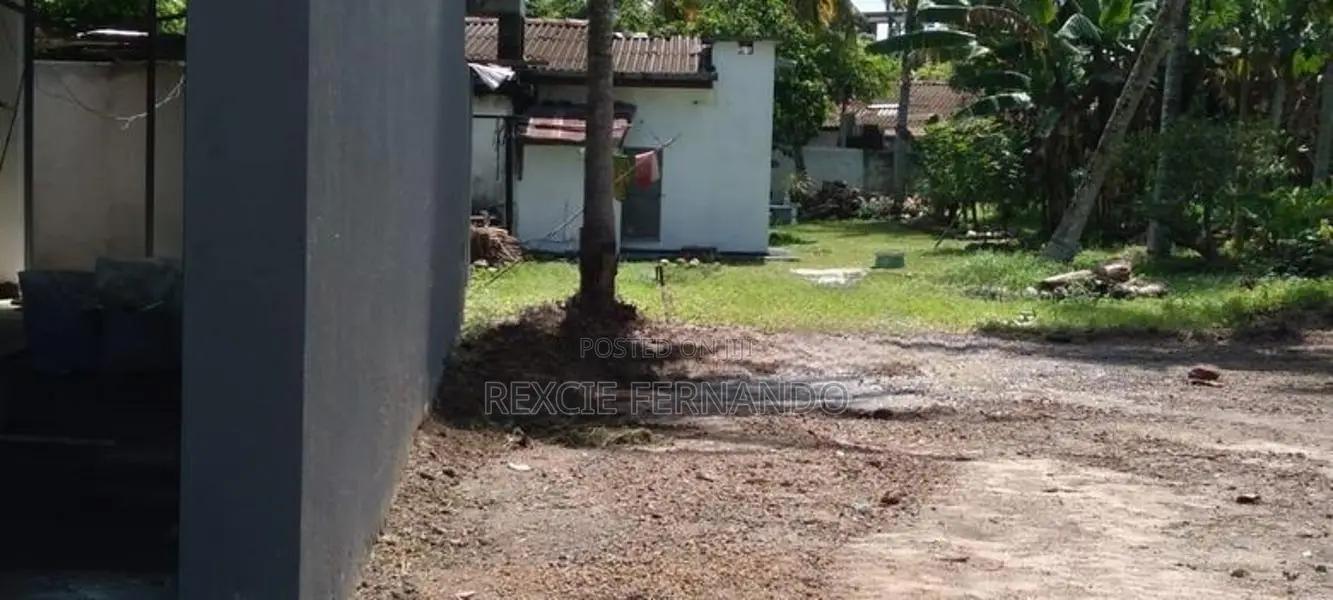 bear land for rent