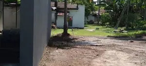 bear land for rent