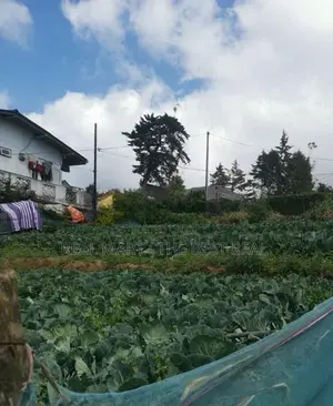 Nuwara Eliya : 20P Prime Land for Sale