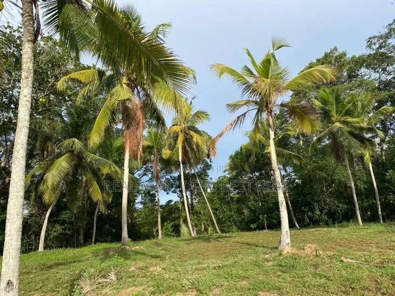 Galle : 2 Acres Prime Land for Sale - Ahangama