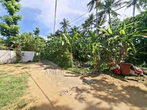 හික්කඩුව සංචාරක කලාපයේ පිහිටි වටිනා ඉඩමක් විකිණීමට ඇත. (ID: HKKD001S)