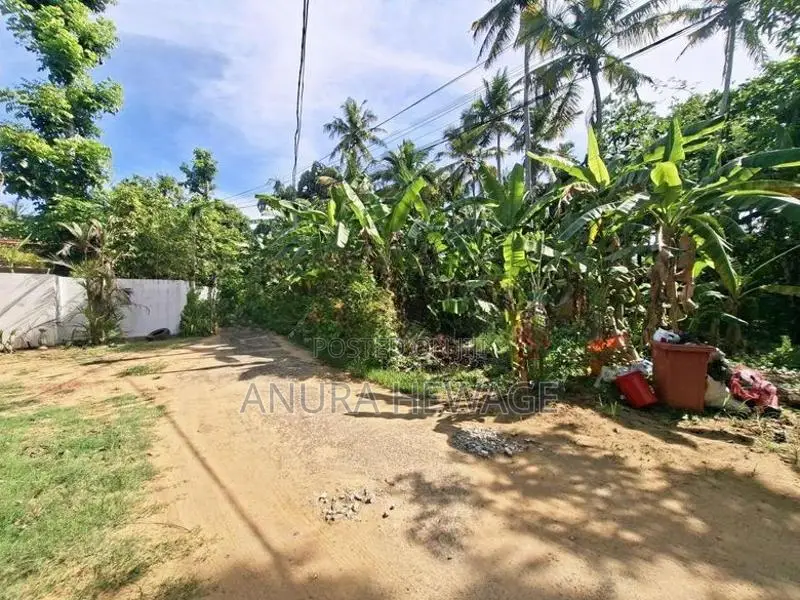 හික්කඩුව සංචාරක කලාපයේ පිහිටි වටිනා ඉඩමක් විකිණීමට ඇත. (ID: HKKD001S)