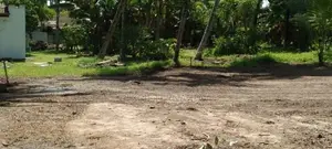 bear land for rent