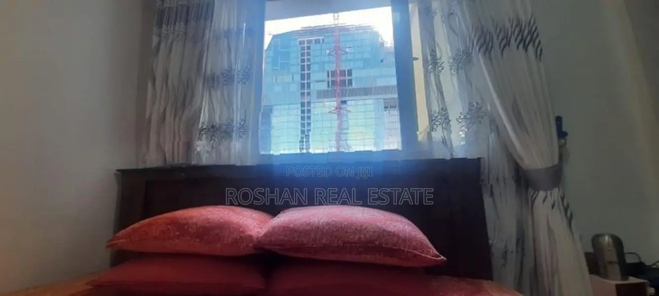METRO HOMES FULLY FURNISHED APARTMENT FOR RENT COLOMBO 2 SH2458