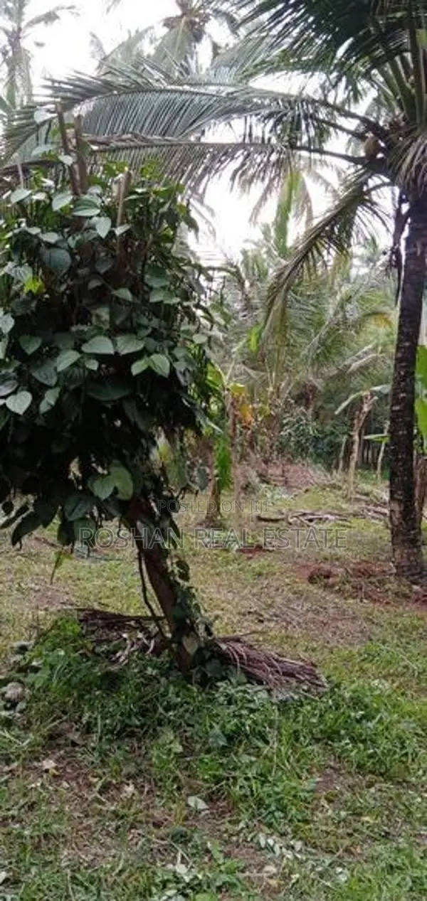 11 ACER AGRICULTURE LAND FOR SALE KULIYAPITIYA HE2465