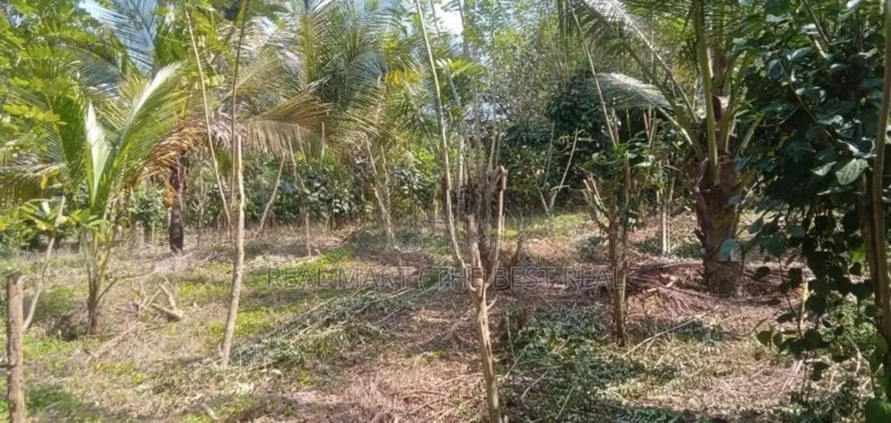 Galle : 50 Perches Land for Sale in Ahangama