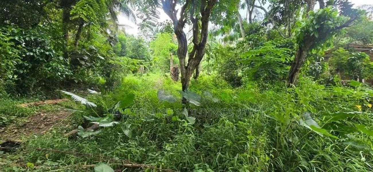 12P - Flat Land For Sale in Amunugama Kandy