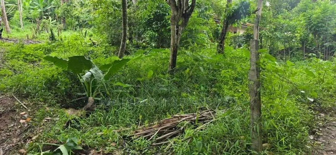 12P - Flat Land For Sale in Amunugama Kandy