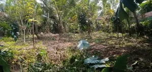 Galle : 50 Perches Land for Sale in Ahangama