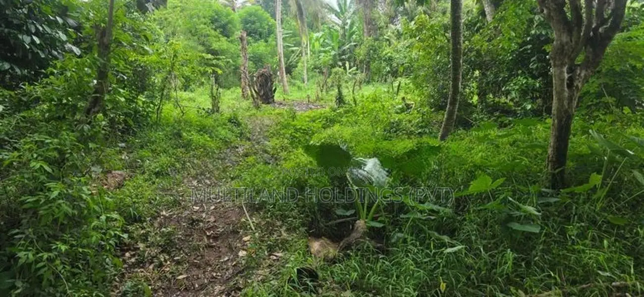 12P - Flat Land For Sale in Amunugama Kandy