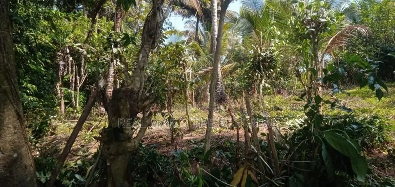 Galle : 50 Perches Land for Sale in Ahangama