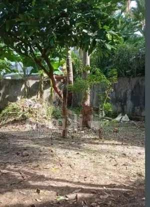 Dehiwala Kalubowila Off Hospital Rd Rathnawali 9.27P Land For Sale